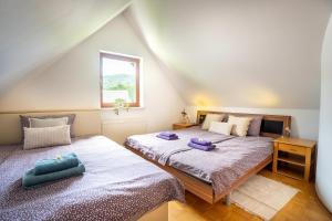 View apartment Lenart 