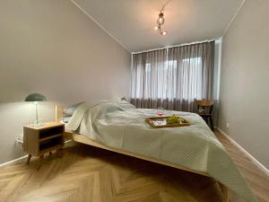 Apartament w Śródmieściu