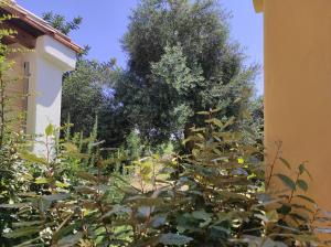 Sa Teria Village - Camere Deluxe - img78
