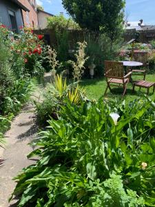 B&B / Chambres d'hotes Dom’s Garden : photos des chambres