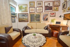 Central Art Oasis Kotor