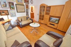 Central Art Oasis Kotor