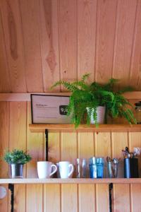 Kempings Lejasbisenieki