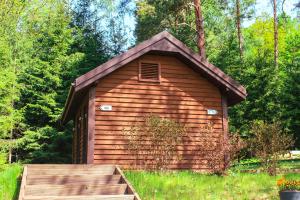 Kempings Lejasbisenieki