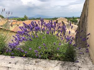 Maisons d'hotes Entre vignes et dentelles : photos des chambres