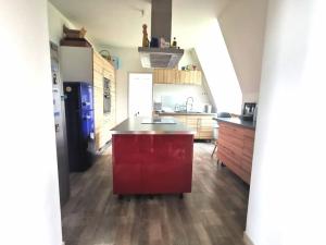 Appartements Grand appartement dans Chateau Neo-gothique : photos des chambres
