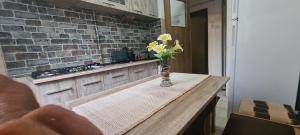 Bobocea Summer Apartment