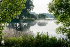 Hotels HOTEL Domaine des Etangs, Auberge Resorts Collection : photos des chambres