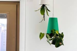 Charm Authentic Family Stay