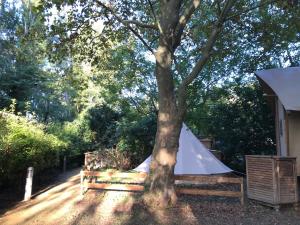 Lodges SUZE LUXE NATURE : Tente