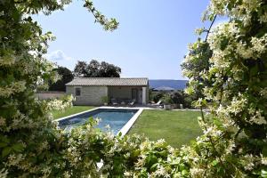 Maisons de vacances Les Agapanthes de Gordes : Maison 1 Chambre