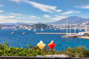 Senses Hotel - Adults Only