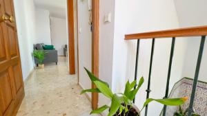 Santaolalla House Nerja