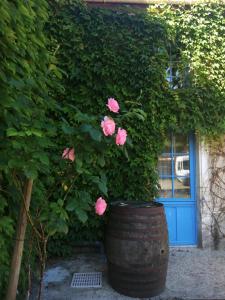 B&B / Chambres d'hotes Le Clos Beldane : photos des chambres