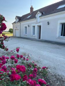 Maisons de vacances Maisonnette a l’oree des vignes : photos des chambres