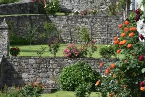 La Rosa al Roseto del Drago - Arigna