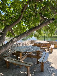 Campings Camping Les Cigales : photos des chambres