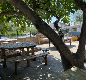 Campings Camping Les Cigales : photos des chambres