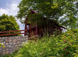 D&S Kovacevic Apartments Zabljak