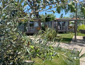 Campings Camping Les Cigales : photos des chambres