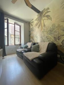 Appartements Sweet Discovery & Jungle : photos des chambres