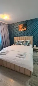 Casa Sebastian - Palazu Mare