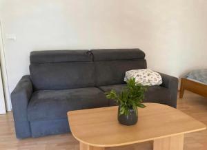Spacious APARTMENT NOBILE RELAX IN A HISTORICAL OLD HOUSE
