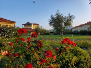 Phyllida Guest House - A1