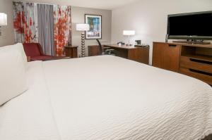 King Room room in Fairfield Inn & Suites by Marriott Dallas DFW Airport South/Irving