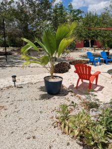 VILLA DEL CIELO TIXPEHUAL