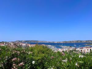 L'angolo sul porto img18