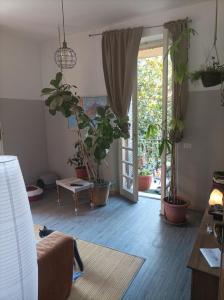 Boh & Boh A casa di Luca and his Cats