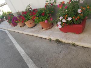 Trullo Chiancola Antica