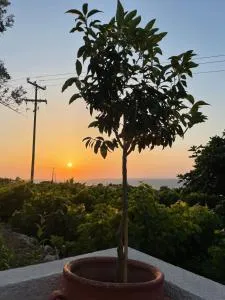 Country House - Ágios Dimítrios