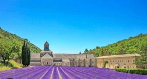 Maisons de vacances Maison a Gordes dans le Luberon : photos des chambres