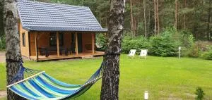 Leśne Zacisze - Jałówka