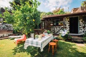 LA HORTENSIA - La Guancha