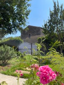 Villas Villa Alpilles avec piscine : photos des chambres