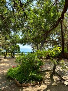 VILLA GIU MAR 2 Jennas img17