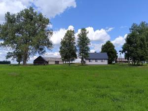 Siedlisko u Agi nad Biebrzą