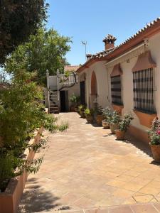 Villa El Rosal Marbella