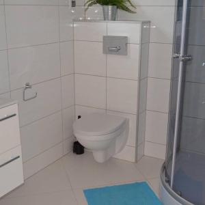 Domki I apartamenty Mila