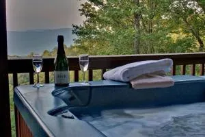 Hummingbird Haven - 道尔顿