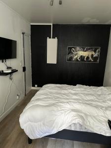 Appartements LUX APART : photos des chambres