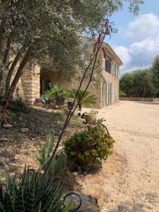 Maison Pipette Pipette Maison