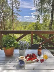 Anika dom w lesie nad jeziorem Słupinko - Dąbrówka