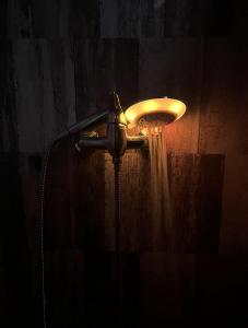 Kuca i splav na reci Savi