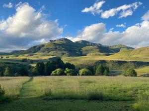 Bamboo Mountain Farm