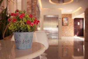Hotel Luna Caribe