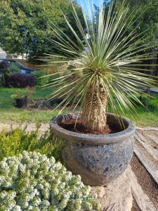 B&B / Chambres d'hotes Le Banellou : photos des chambres